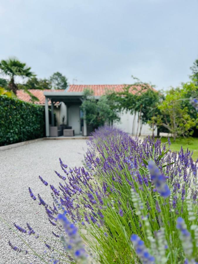 O'Pintxo Bed & Breakfast Onesse-et-Laharie Ngoại thất bức ảnh